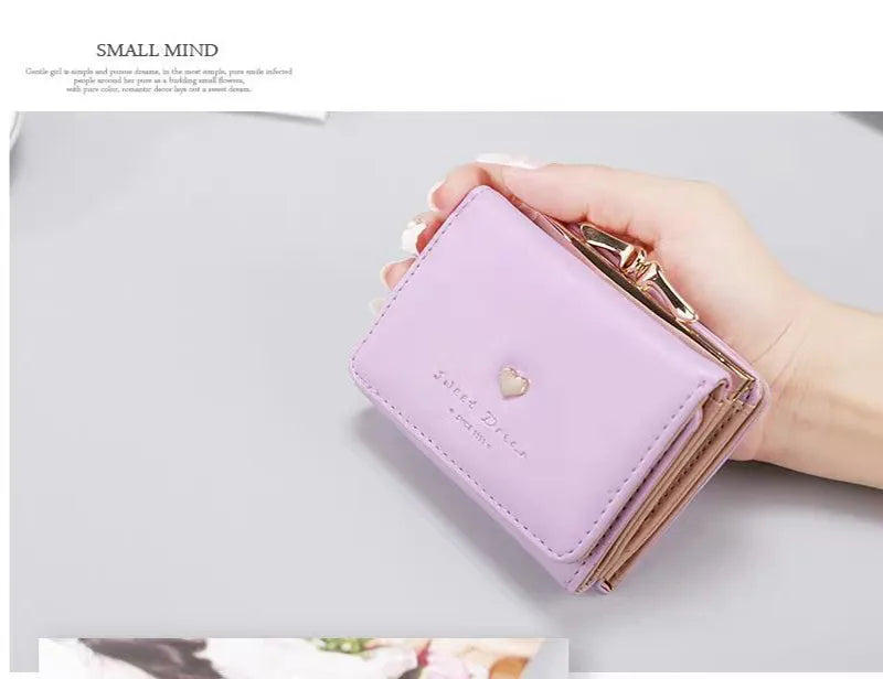 Womens Mini Organizer Wallet Compact Slim Design