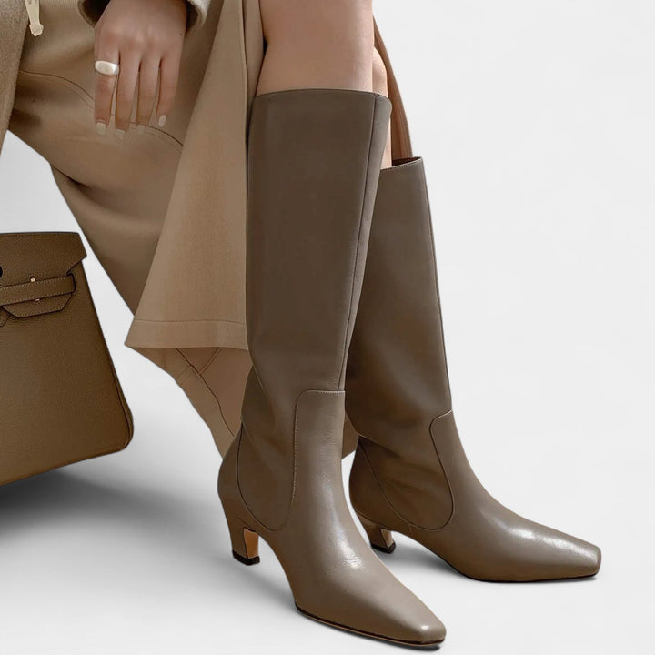 Womens Tall Mid Heel Boots Pointed Toe