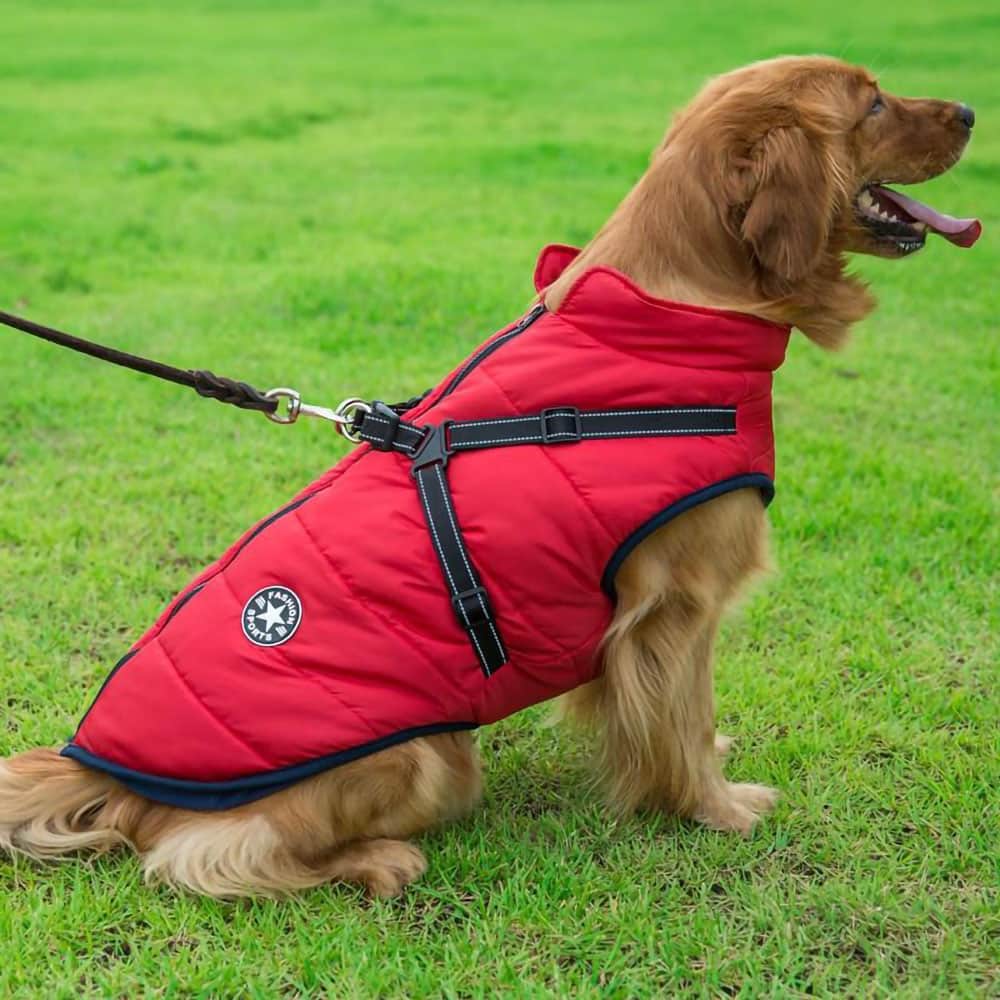 Pet Winter Coat Comfortable Insulated Fit - BritishMode