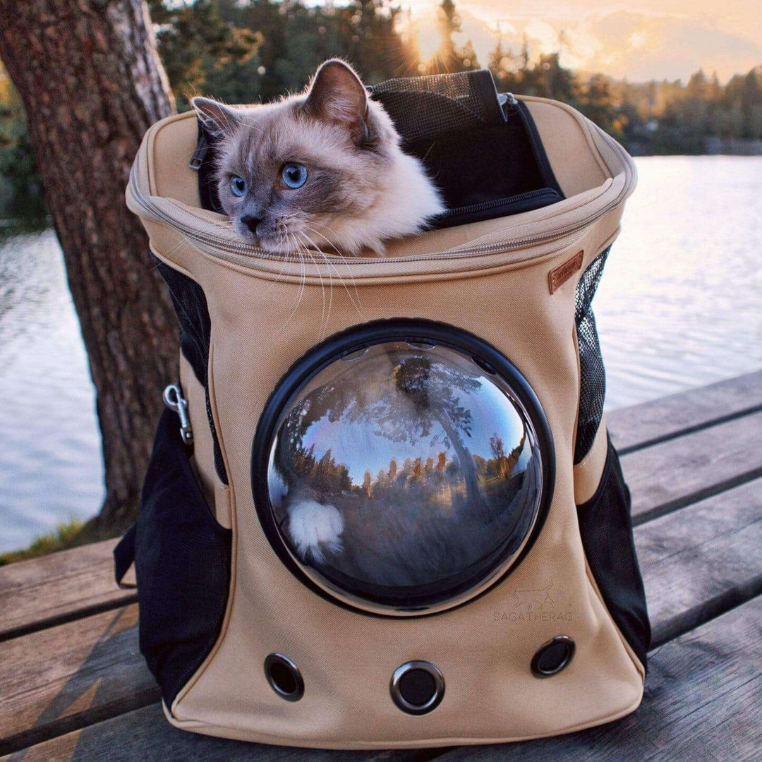 Pet Carrier Backpack Breathable Mesh Window - BritishMode