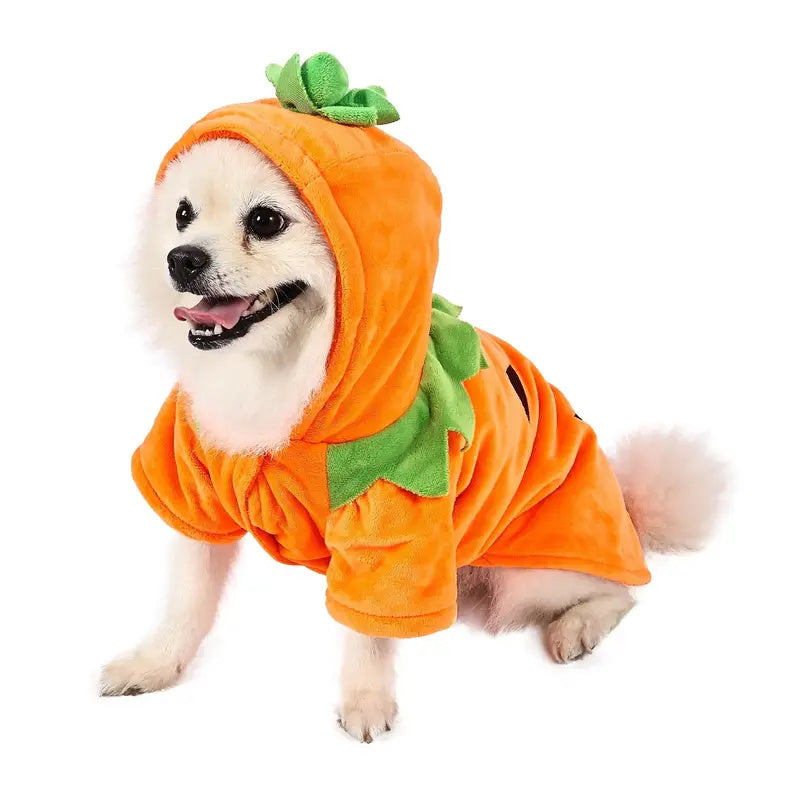 Pet Dog Costume Fleece Hoodie Warm Fit - BritishMode
