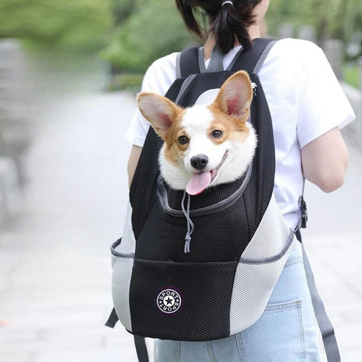 Pet Hiking Backpack Comfortable Outdoor Dog Carrier - BritishMode