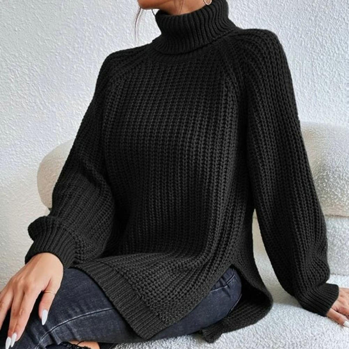 Womens Turtleneck Sweater Knit Cozy Fit