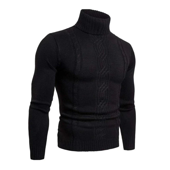 Mens Cotton Turtleneck Sweater Regular Fit