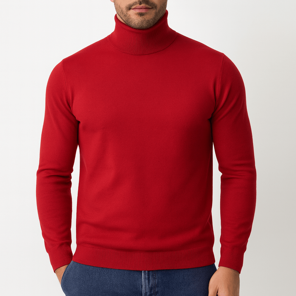 Womens Slim Fit Turtleneck Knit Top