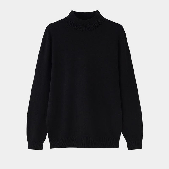 Womens Turtleneck Sweater Wool Blend Regular Fit