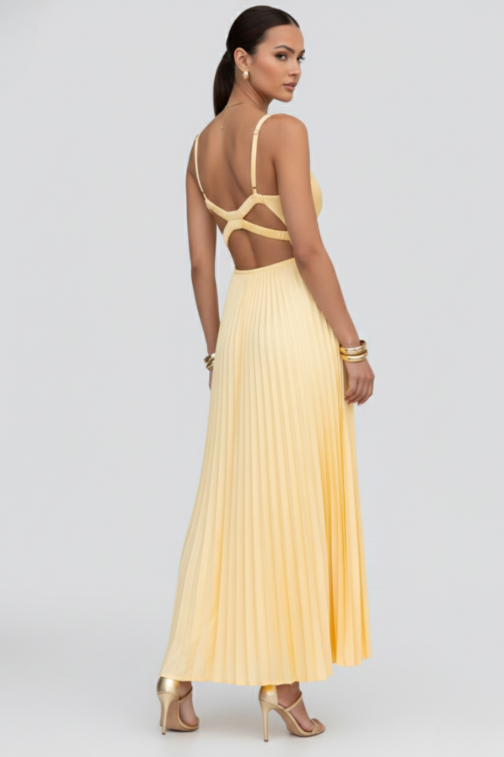 Womens Maxi Dress with V-Neck and Pleated Skirt