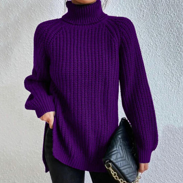 Womens Turtleneck Sweater Knit Cozy Fit