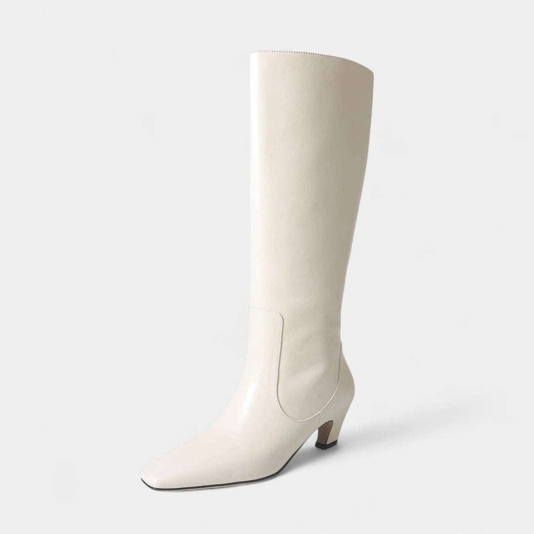 Womens Tall Mid Heel Boots Pointed Toe