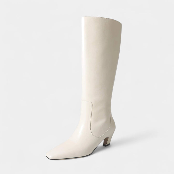Womens Tall Mid Heel Boots Pointed Toe