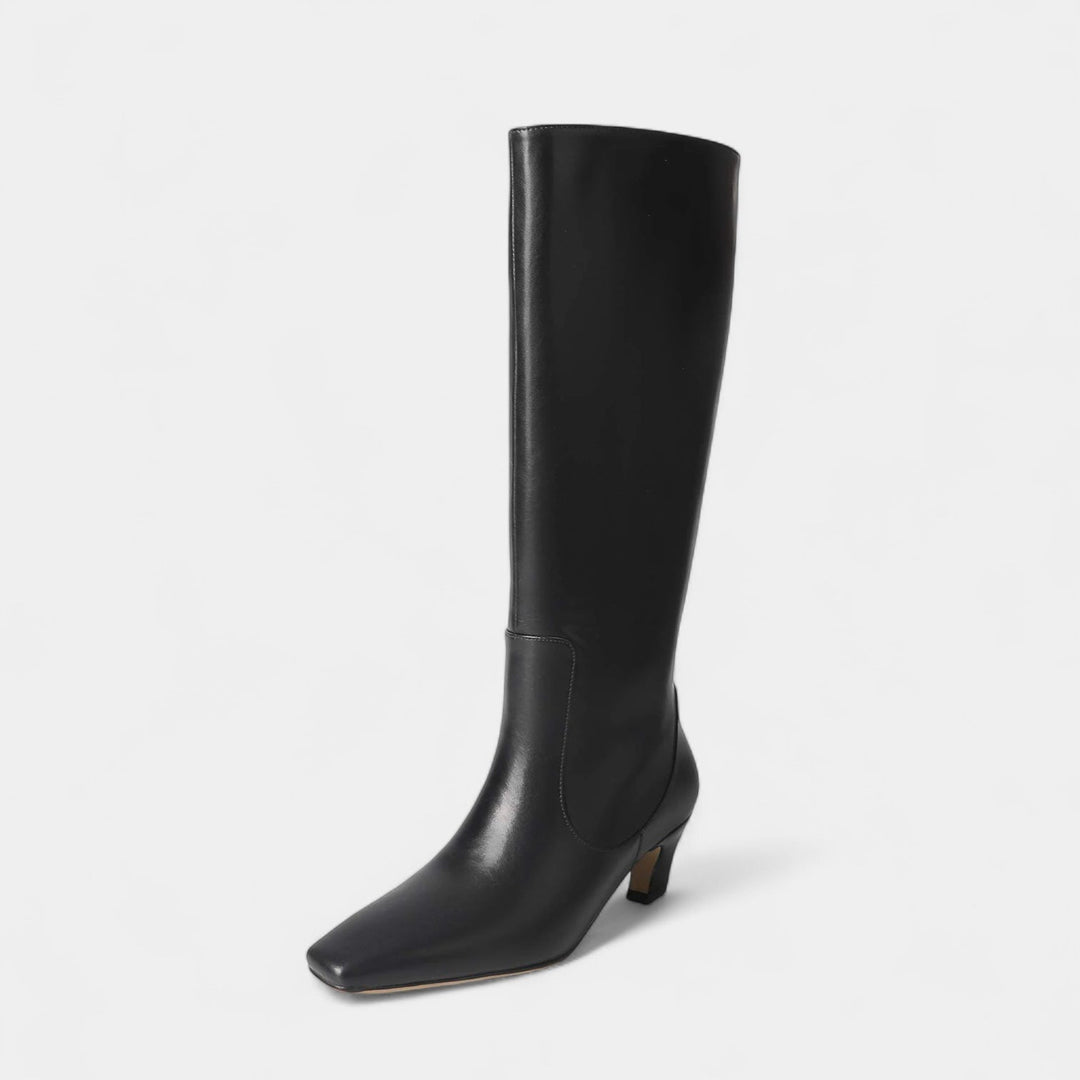 Womens Tall Mid Heel Boots Pointed Toe - BritishMode