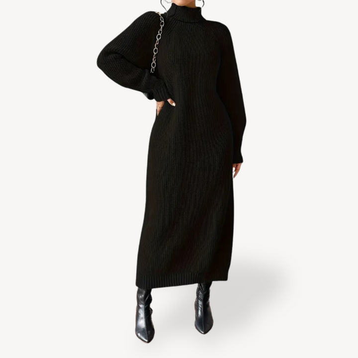 Womens Ribbed Knit Dress Turtleneck Fit