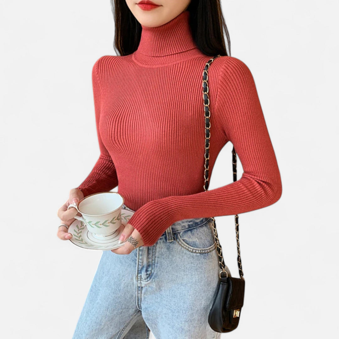 Womens Ribbed Knit Sweater Turtleneck Slim Fit
