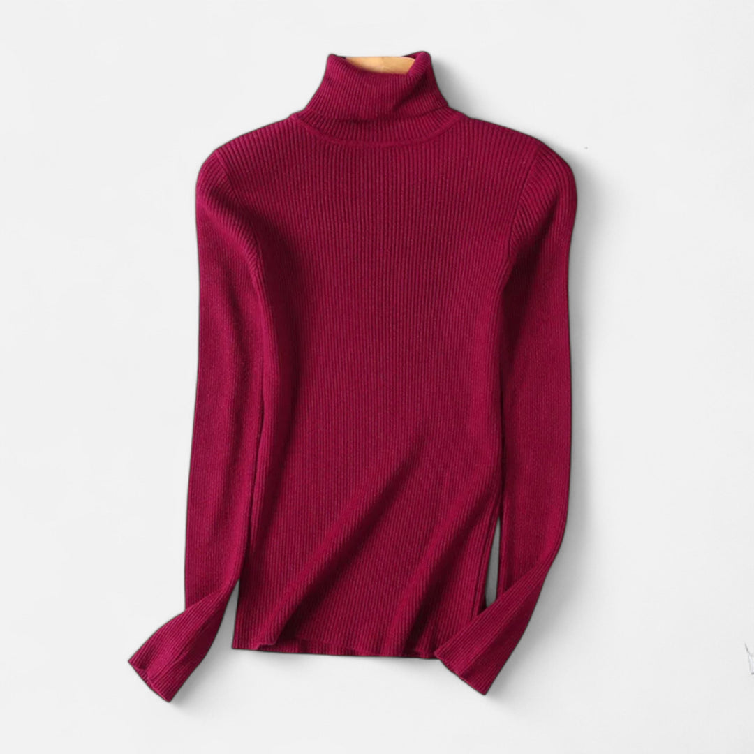 Womens Ribbed Knit Sweater Turtleneck Slim Fit