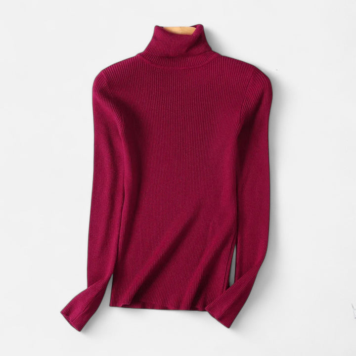 Womens Ribbed Knit Sweater Turtleneck Slim Fit
