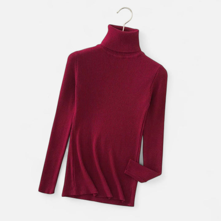 Womens Cashmere Sweater Turtleneck Slim Fit