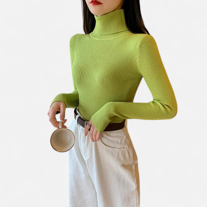 Womens Ribbed Knit Sweater Turtleneck Slim Fit
