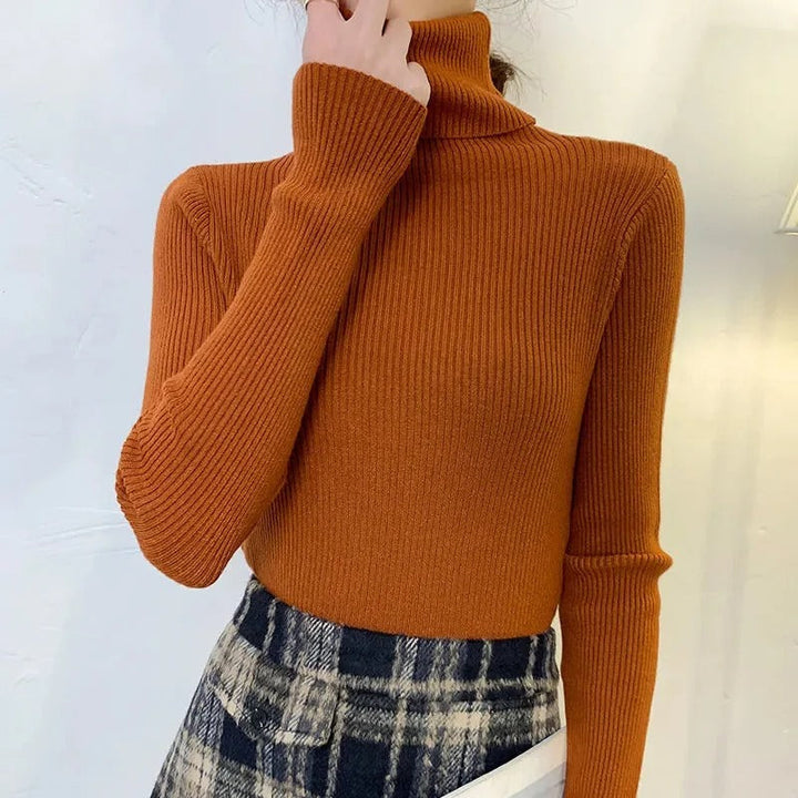 Womens Cashmere Turtleneck Sweater Slim Fit