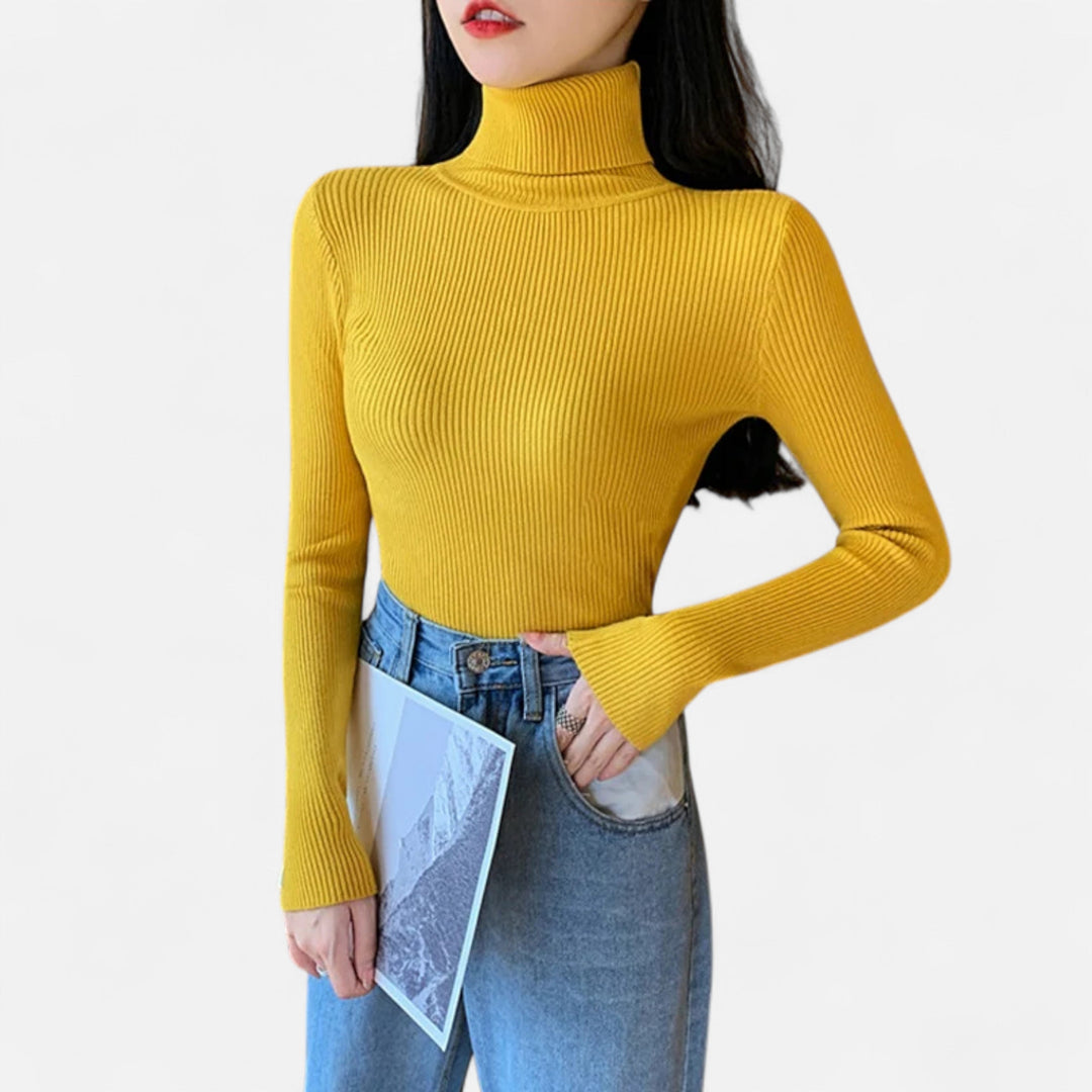 Womens Ribbed Knit Sweater Turtleneck Slim Fit